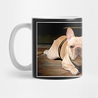 Portrait of a Frenchie Mug